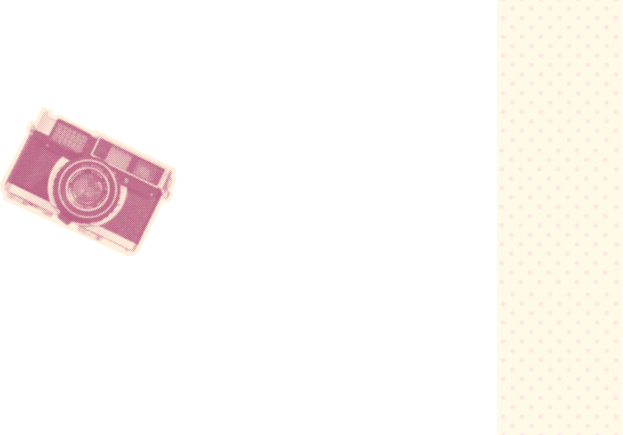 Education project preview